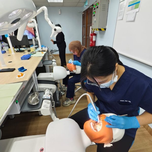 WhatsApp Image 2026-03-27 at 11.21.34 AM (1)